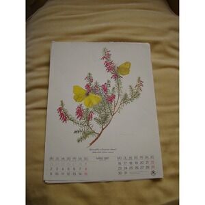 VTG Botanical Plate 1987 March German Calendar Kalendar Floral Yellow Butterfly
